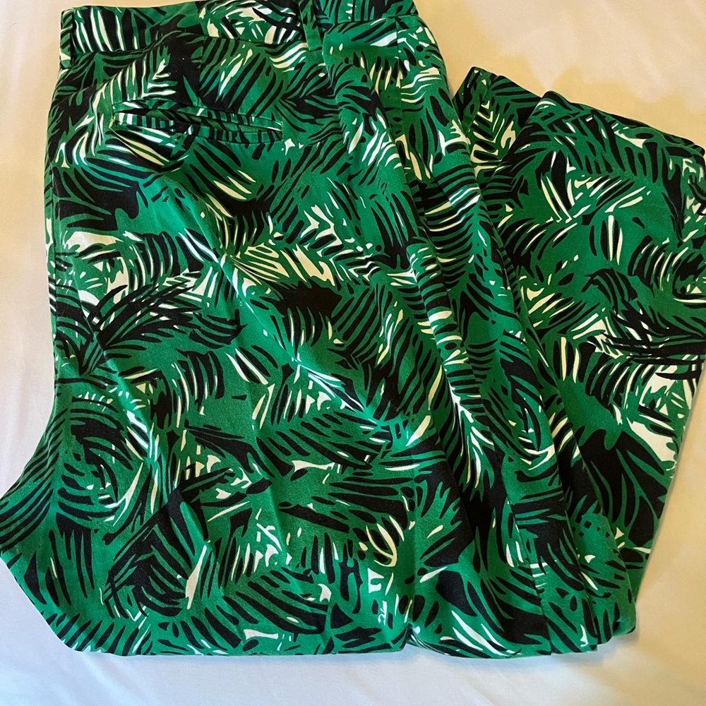 Tapered leg pant:Dress Barn